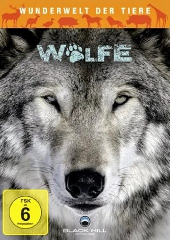 Wunderwelt der Tiere - Wölfe Poster of Wunderwelt der Tiere - Wölfe