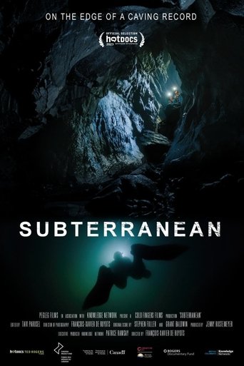 Subterranean Poster of Subterranean