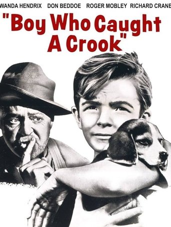 Boy Who Caught a Crook Poster of Boy Who Caught a Crook