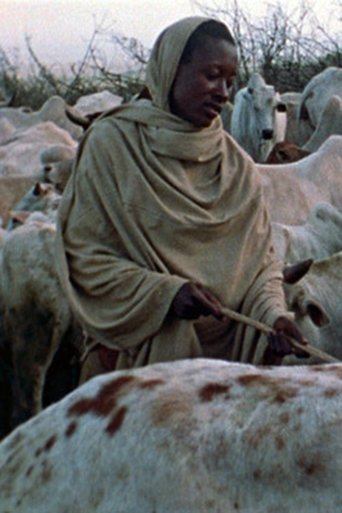 Boran Herdsmen Poster of Boran Herdsmen