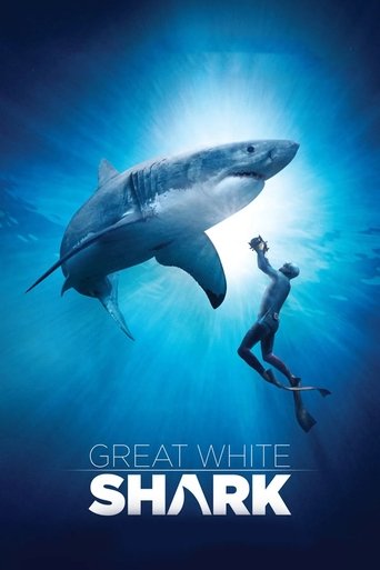 Great White Shark Poster of Great White Shark