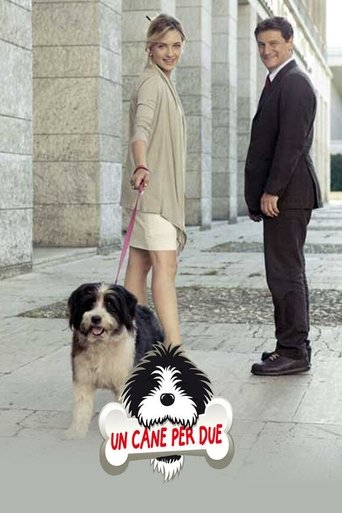 Un cane per due Poster of Un cane per due
