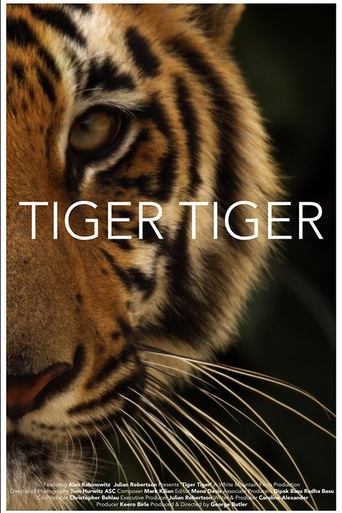 Tiger Tiger Poster of Tiger Tiger