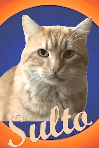 Sulto Poster of Sulto