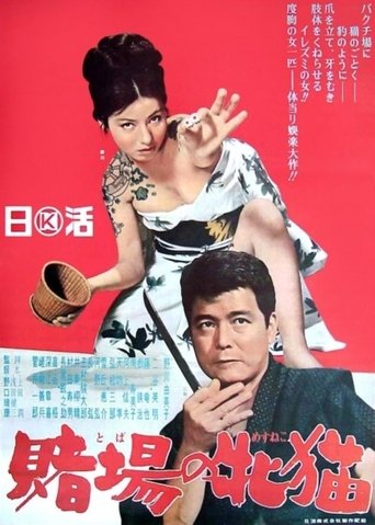 Gambling Kitten Poster of Gambling Kitten