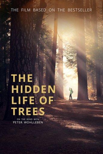 The Hidden Life of Trees Poster of The Hidden Life of Trees