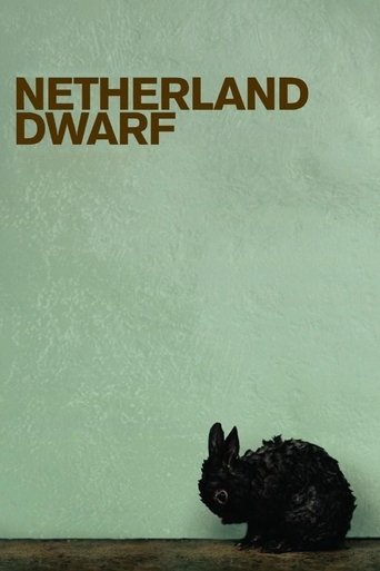 Netherland Dwarf Poster of Netherland Dwarf
