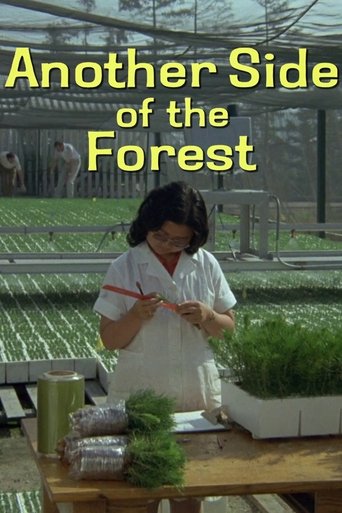 Another Side of the Forest Poster of Another Side of the Forest