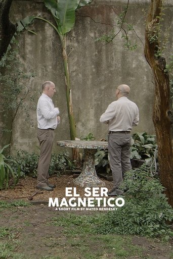 The Magnetic Nature Poster of The Magnetic Nature