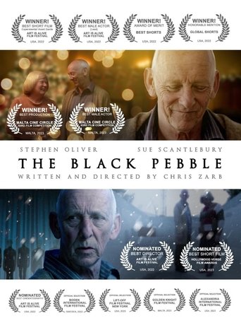 The Black Pebble Poster of The Black Pebble