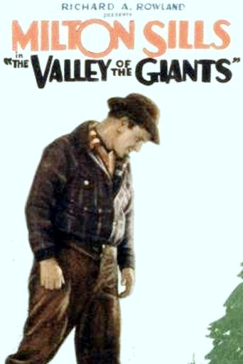 The Valley of the Giants Poster of The Valley of the Giants