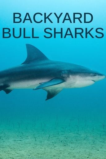 Backyard Bull Sharks Poster of Backyard Bull Sharks