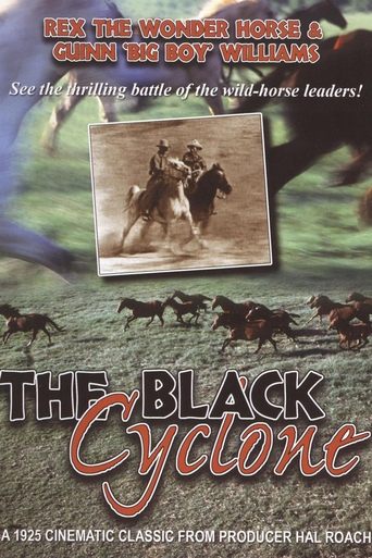 Black Cyclone Poster of Black Cyclone