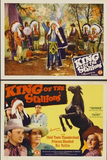 King of the Stallions Poster of King of the Stallions