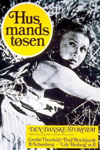 Husmandstøsen Poster of Husmandstøsen