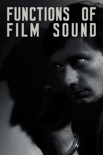 Functions of Film Sound Poster of Functions of Film Sound