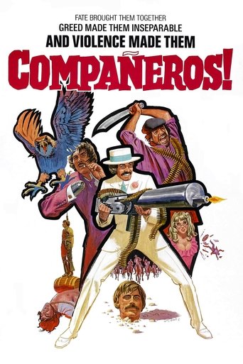 Compañeros Poster of Compañeros
