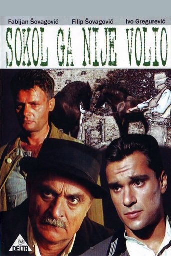 Sokol Did Not Love Him Poster of Sokol Did Not Love Him