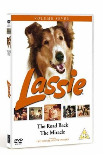 Lassie - The Road Back Poster of Lassie - The Road Back