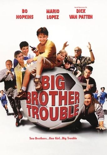 Big Brother Trouble Poster of Big Brother Trouble