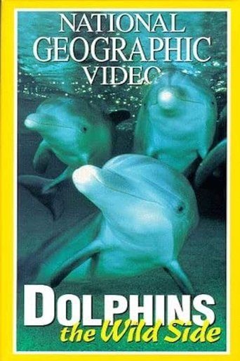 Dolphins: The Wild Side Poster of Dolphins: The Wild Side