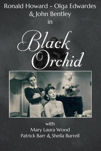 Black Orchid Poster of Black Orchid