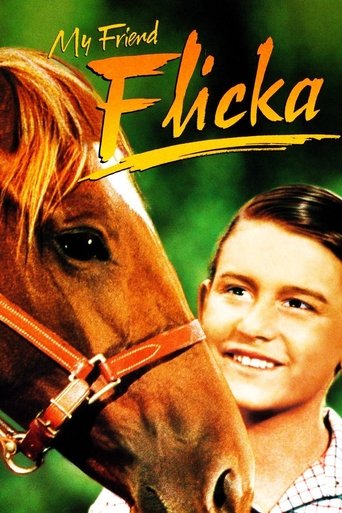My Friend Flicka Poster of My Friend Flicka