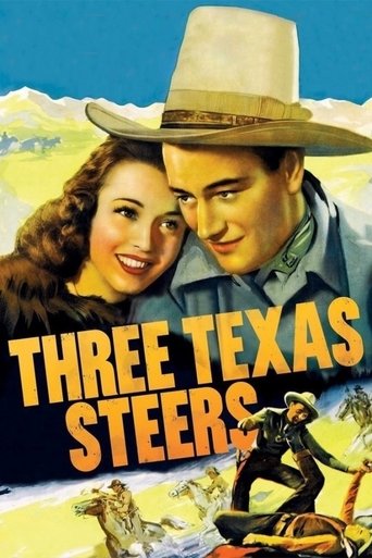 Three Texas Steers Poster of Three Texas Steers