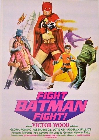 Fight Batman, Fight! Poster of Fight Batman, Fight!