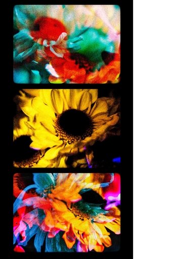 Flowers (II) Poster of Flowers (II)