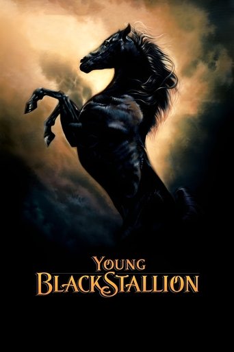 Young Black Stallion Poster of Young Black Stallion