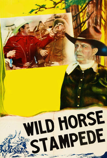 Wild Horse Stampede Poster of Wild Horse Stampede