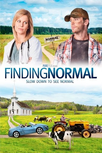 Finding Normal Poster of Finding Normal