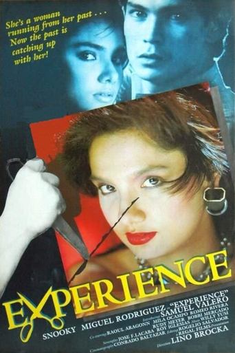 Experience Poster of Experience