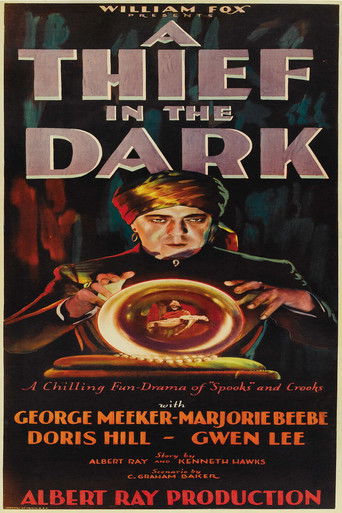 A Thief in the Dark Poster of A Thief in the Dark