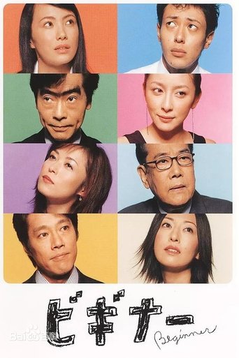Beginner Poster of Beginner