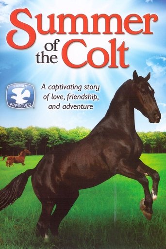 Summer of the Colt Poster of Summer of the Colt