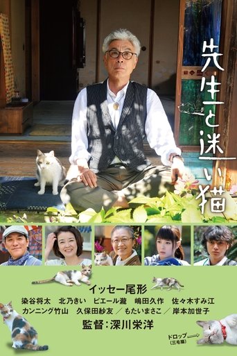 Teacher and Stray Cat Poster of Teacher and Stray Cat