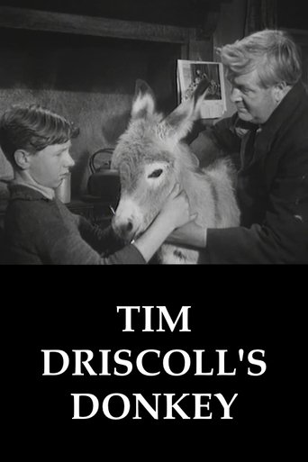 Tim Driscoll's Donkey Poster of Tim Driscoll's Donkey