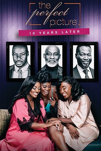 The Perfect Picture: Ten Years Later Poster of The Perfect Picture: Ten Years Later