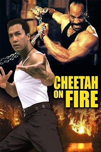 Cheetah on Fire Poster of Cheetah on Fire