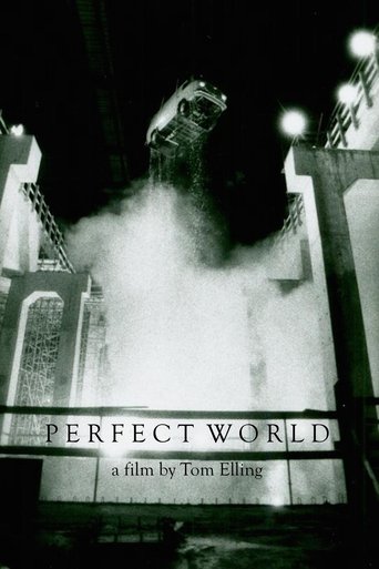 Perfect World Poster of Perfect World