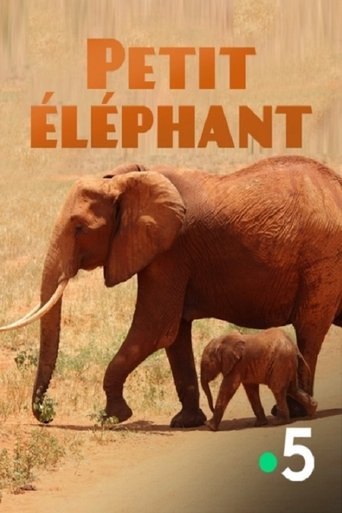 Small Elephant Poster of Small Elephant