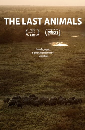 The Last Animals Poster of The Last Animals