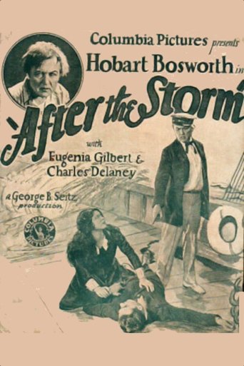 After the Storm Poster of After the Storm