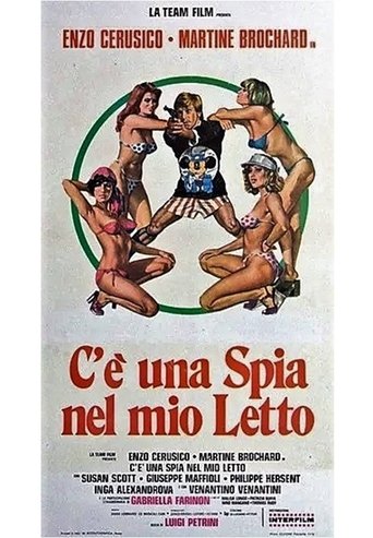 C'è una spia nel mio letto Poster of C'è una spia nel mio letto