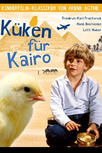 Chicken for Cairo Poster of Chicken for Cairo