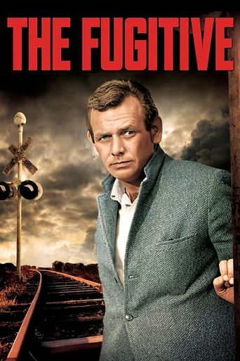 The Fugitive Poster of The Fugitive