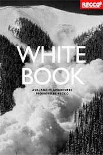 Whitebook Poster of Whitebook