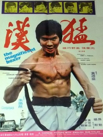 The Magnificent Boxer Poster of The Magnificent Boxer